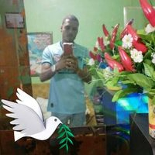 Elton Placido’s avatar