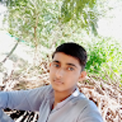 Arman Hassan