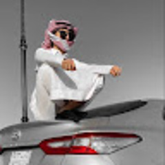 Mohammad Shlool