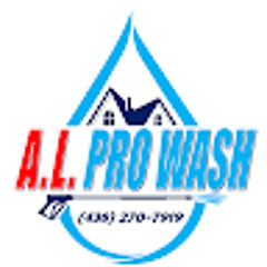 A.L. Pro Wash