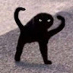 *_KiT к0т_*