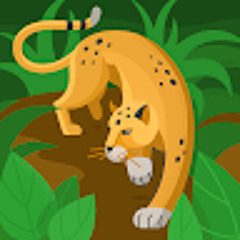 Ireland international