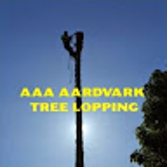 AARDVARK TREE.LOPPING