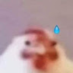 bôi sir