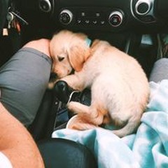 Moulay Ahmed Rahbaoui