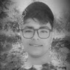 امیررضا ابراهیمی