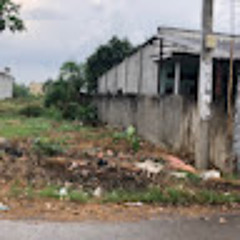 Lê Trung Tính
