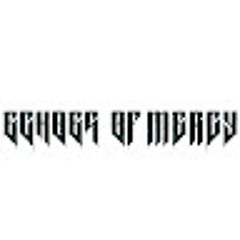ECHOES Of MERCY OFFICIAL