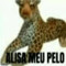 silvzx