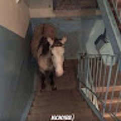 первая тяга с утреца