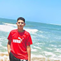 Zyaid el hefnawe