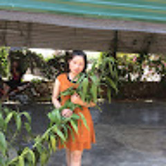 Nghia Tran