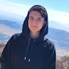 Mina Deilami
