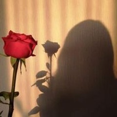 Noura Mohamed