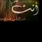 S EL Hamzawy