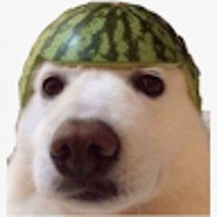 ToK_BiToK
