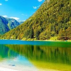 عبده علاء عبده علاء
