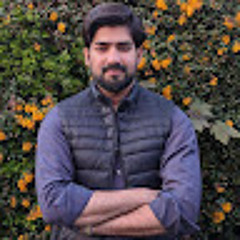 Ameer Hamza
