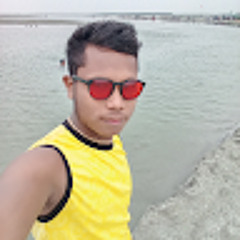 polash ray
