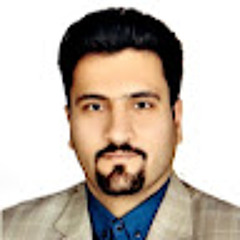 amir bizhani