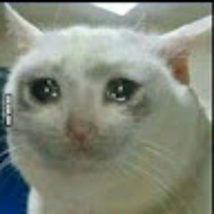 User 815116408