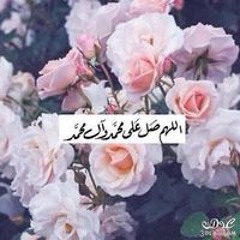 User 531974953