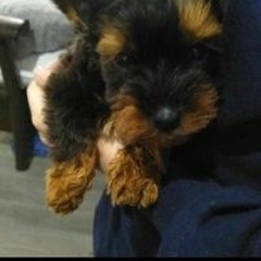 Erick Strickland Valadez