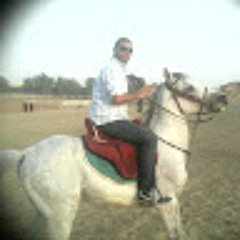 ahmed hamzawy