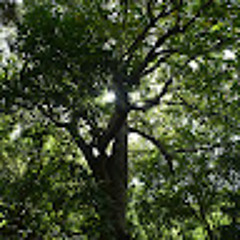 JUAN DANIEL QUIROZ SILVA