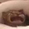 S N