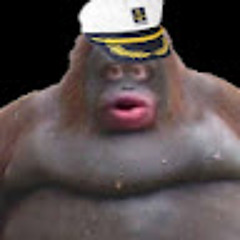 Сухарев Кирилл