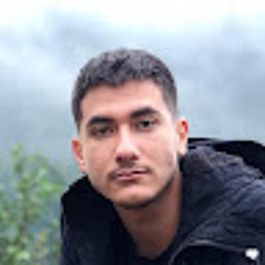 mahdi habibi