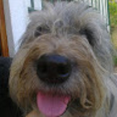 Pablo Tebaldi