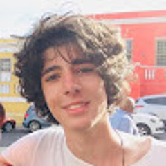 Lorenzo Mendonça Bisi