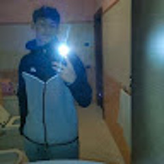 Christian Noris