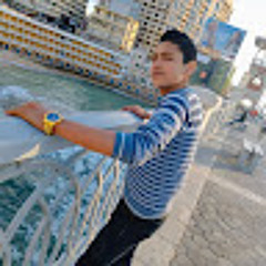 شرقاوي السيد