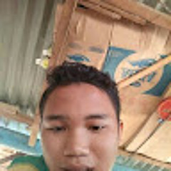 Roy Ibnu