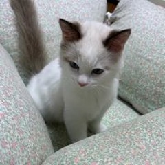 재경