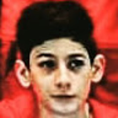 Дикусар Артём