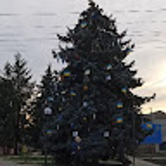 Лера Галиборщ