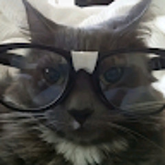 Сергій Федас