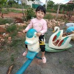 Vi Đức Hạnh