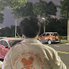 Hoàng phi Nguyễn Lâm