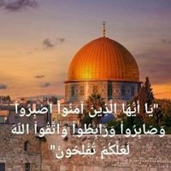 نوال حسن