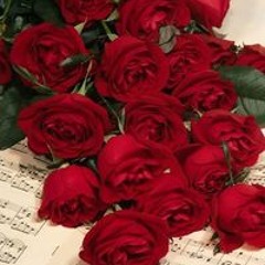 الحاجه هناء زقزوق