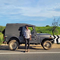 Mahendra Ashwin