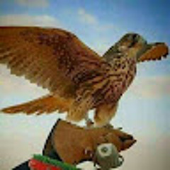 alsaqr aljarih الدين‬‎)