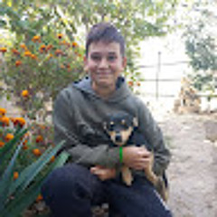 Дмитрій Боєвчук