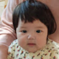 나무