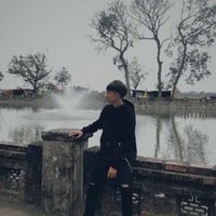 HOÀ PANDA MIX
